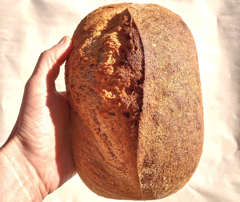 An Ode to Whole Wheat Sourdough Bread