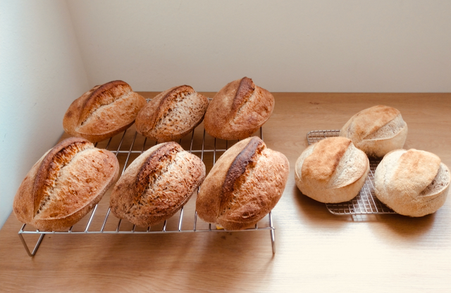 Day-Old Bread
