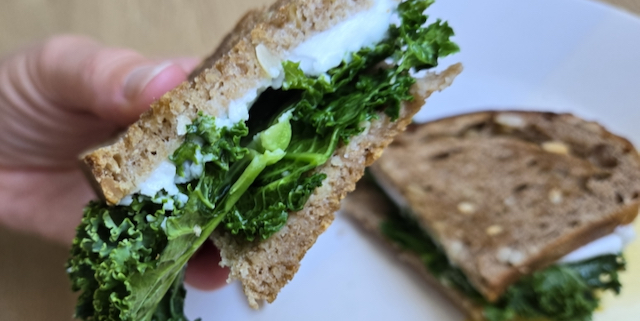 Grilled Cheese Sandwich – Part 2
